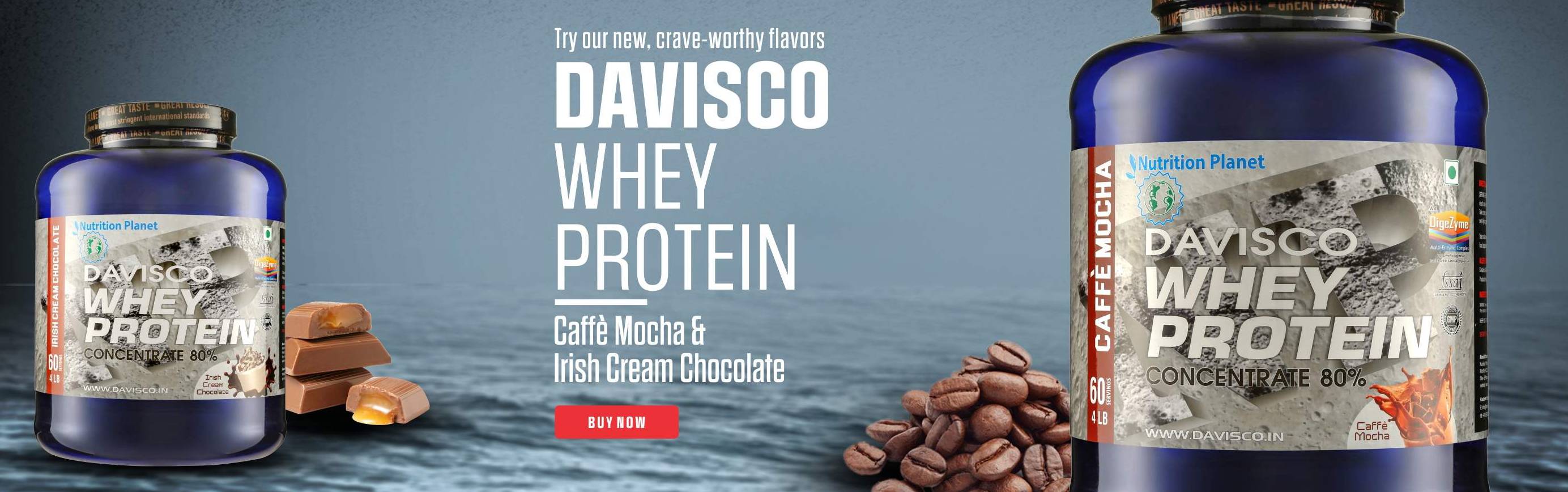 Davisco Whey Protein Irish Chocolate and Caffe Mocha