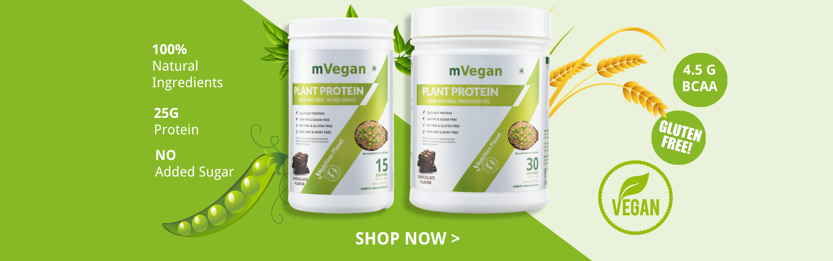 Plant Protein