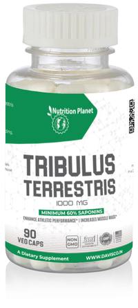 Tribulus Terrestris - Min. 60% Saponins