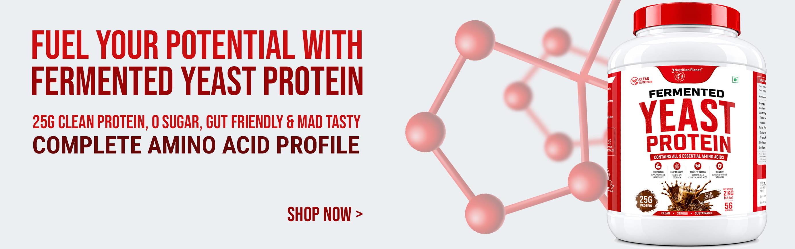 fermented yeast protein